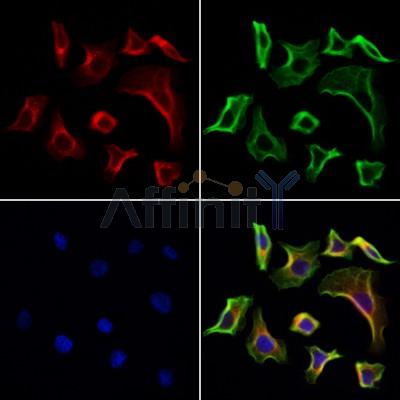 Валидация Affinity AF5344 - 2936