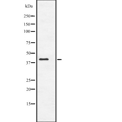Валидация Affinity DF2269 - 12821