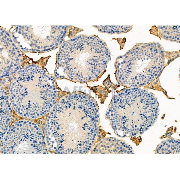 Валидация Affinity DF12443 - 6968