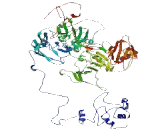 Protocadherin Alpha 2 (PCDHa2) Protocadherin Alpha 2 (PCDHa2)