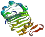 Reticulon 4 Receptor (RTN4R) Reticulon 4 Receptor (RTN4R)