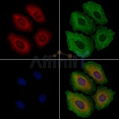 Валидация Affinity DF6982 - 18614