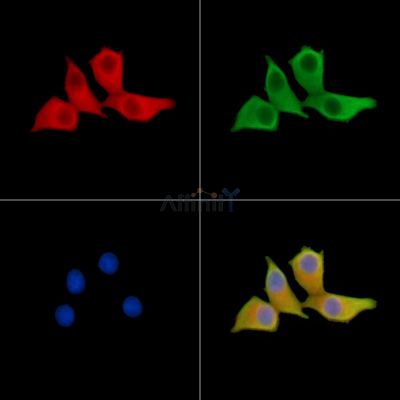 Валидация Affinity DF14441 - 10404