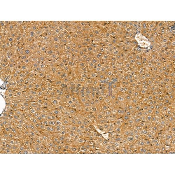 Валидация Affinity DF13221 - 8246