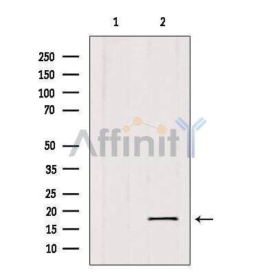Валидация Affinity DF7019 - 18656