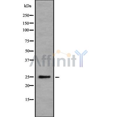 Валидация Affinity DF8353 - 20209
