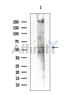 Валидация Affinity DF9056 - 21312