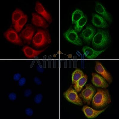 Валидация Affinity DF6497 - 17896