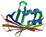 Retinol Binding Protein 1, Cellular (RBP1) Retinol Binding Protein 1, Cellular (RBP1)