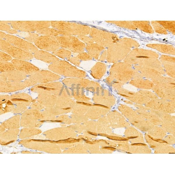 Валидация Affinity DF13006 - 7797