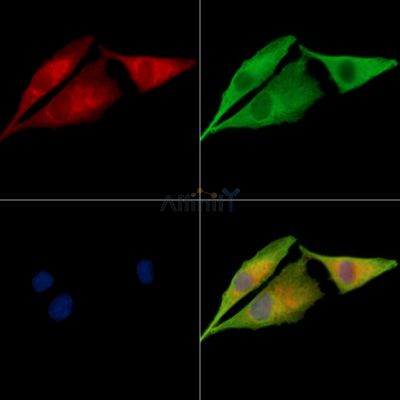 Валидация Affinity DF13902 - 9640