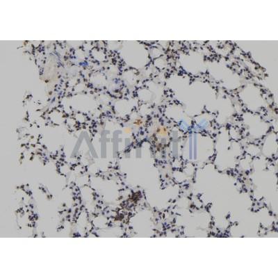 Валидация Affinity DF12089 - 6191