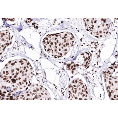 Валидация Affinity DF6102 - 17317