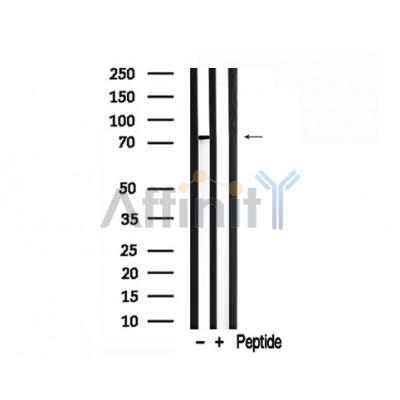 Валидация Affinity AF7768 - 4476