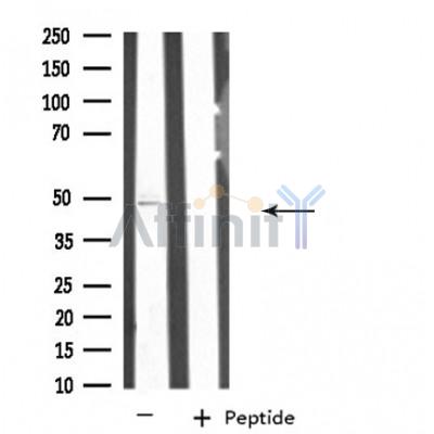 Валидация Affinity DF4460 - 15982