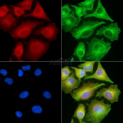 Валидация Affinity DF13823 - 9510