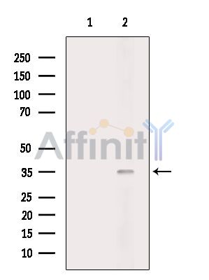 Валидация Affinity DF14055 - 9832