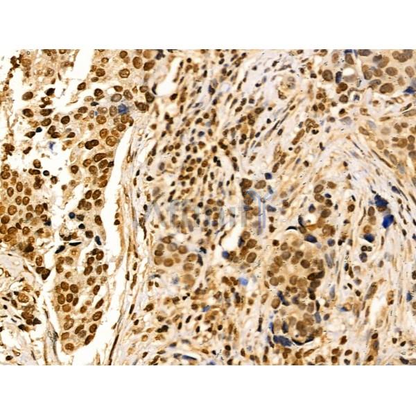 Валидация Affinity DF3543 - 14490