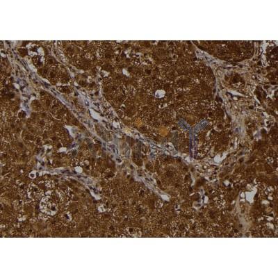 Валидация Affinity AF6087 - 3291