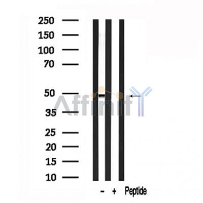 Валидация Affinity AF7591 - 4257