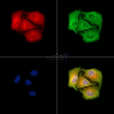 Валидация Affinity DF9878 - 22822