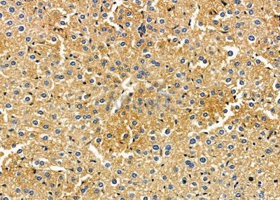 Валидация Affinity DF9369 - 21894