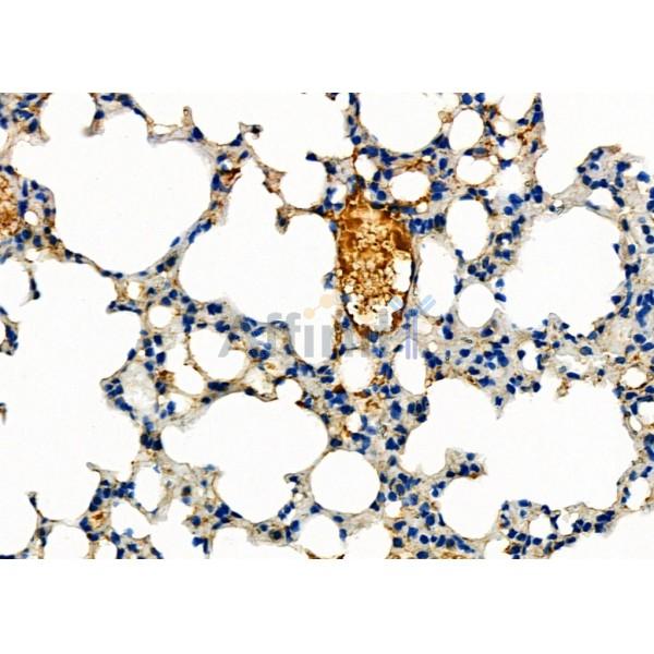 Валидация Affinity DF9245 - 21672