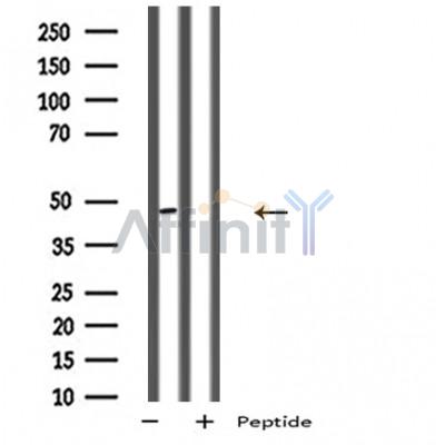 Валидация Affinity DF5138 - 17094