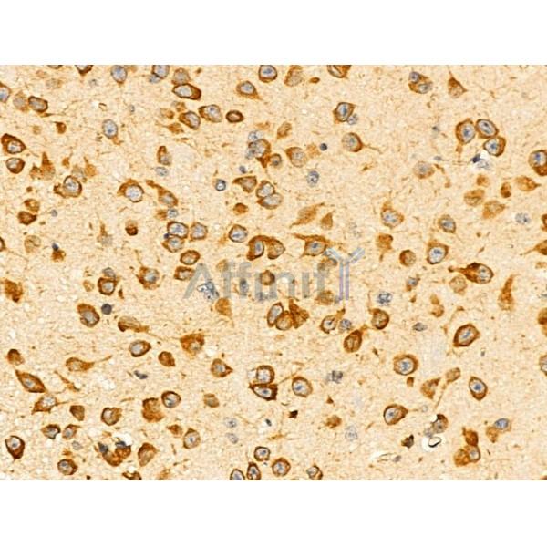 Валидация Affinity DF3288 - 14154