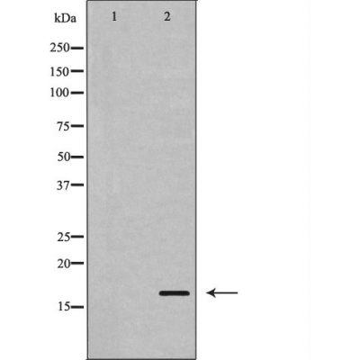 Валидация Affinity AF5414 - 3060