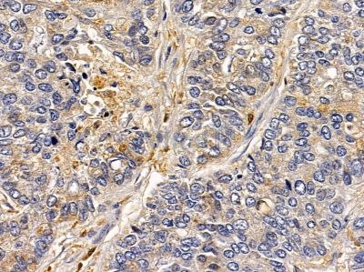 Валидация Affinity DF7751 - 19557