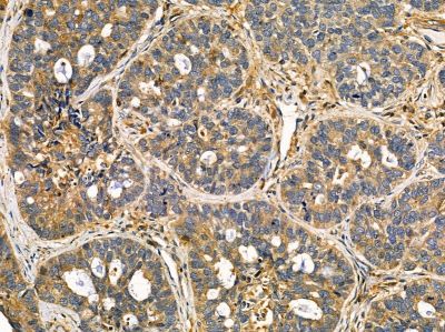 Валидация Affinity DF14438 - 10398