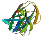 Fc Receptor Like Protein 3 (FCRL3) Fc Receptor Like Protein 3 (FCRL3)