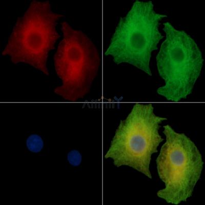 Валидация Affinity DF14399 - 10329