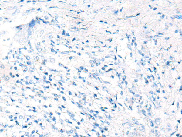 Валидация AssayVector ARM1166(461)