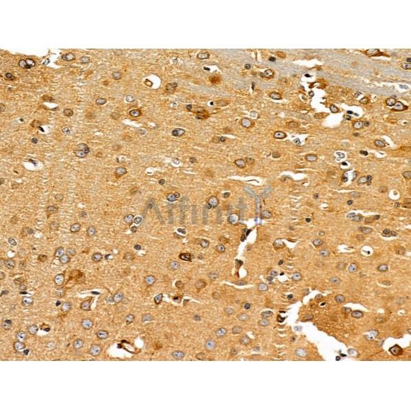 Валидация Affinity AF5470 - 3135