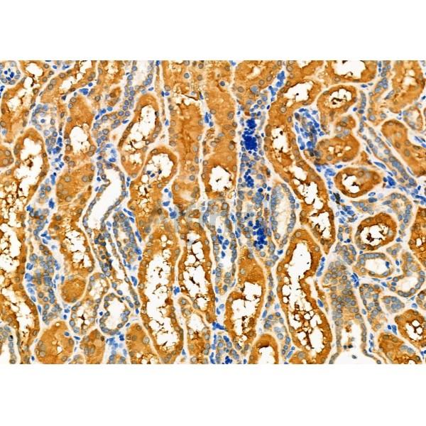 Валидация Affinity DF6593 - 18037