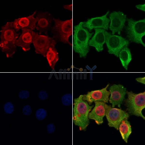 Валидация Affinity DF8602 - 20522