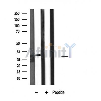 Валидация Affinity DF3862 - 15003