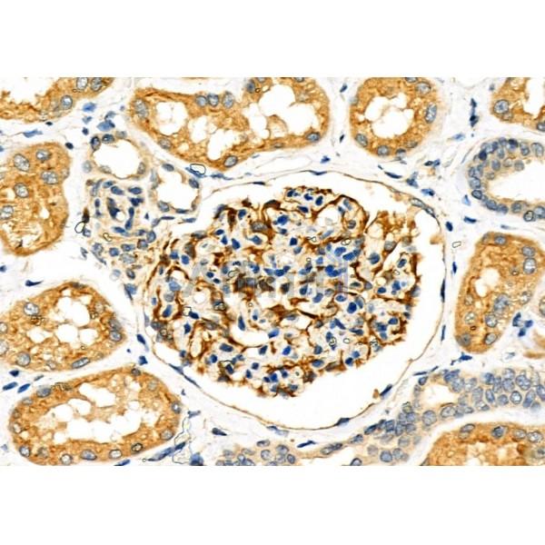 Валидация Affinity DF6222 - 17503