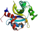 Inosine Triphosphatase (ITPA)