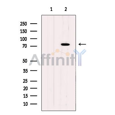 Валидация Affinity DF12410 - 6905