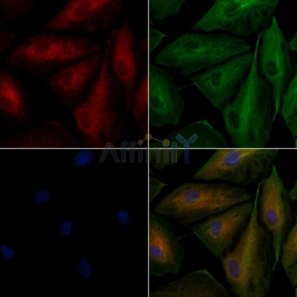 Валидация Affinity DF5167 - 17138