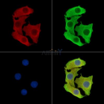 Валидация Affinity DF16001 - 12545