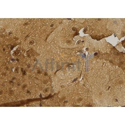 Валидация Affinity AF6327 - 3597