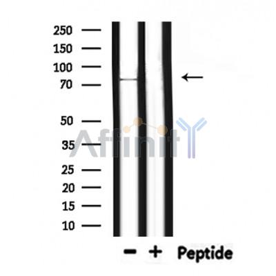 Валидация Affinity DF7250 - 18905