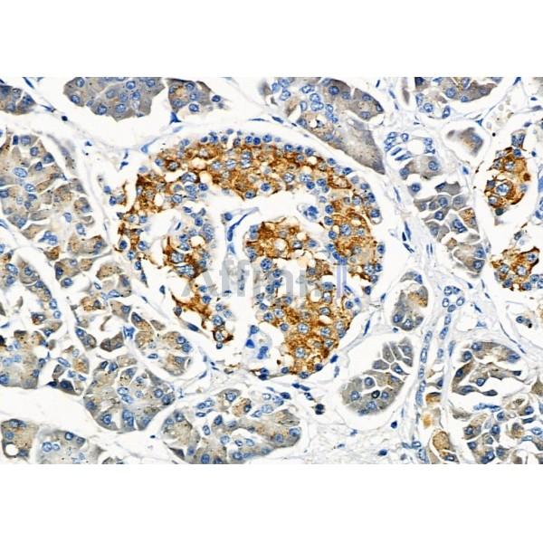 Валидация Affinity DF10309 - 5931