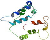 GDNF Family Receptor Alpha Like Protein (GFRaL) GDNF Family Receptor Alpha Like Protein (GFRaL)