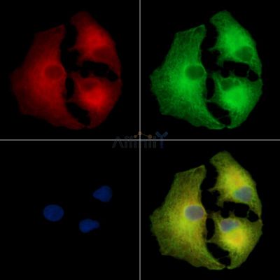 Валидация Affinity DF16120 - 12709