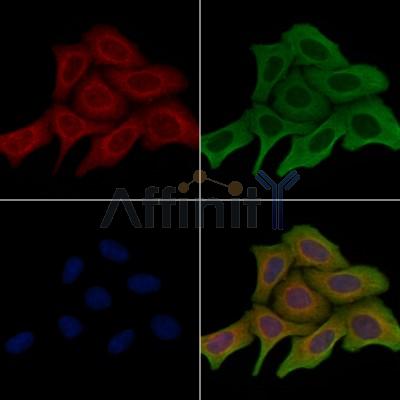 Валидация Affinity DF3665 - 14668